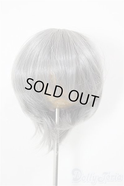 画像1: 8-9inch/ウィッグ A-26-02-11-134-NY-ZA (1)