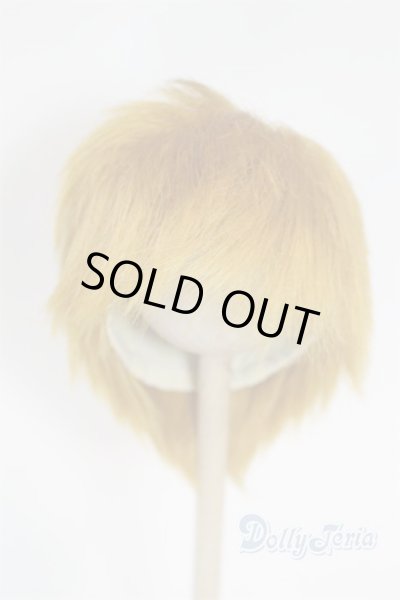 画像1: 8-9inch/ウィッグ/インチ　BJD　MJD　ドール用 A-26-02-11-099-NY-ZA (1)