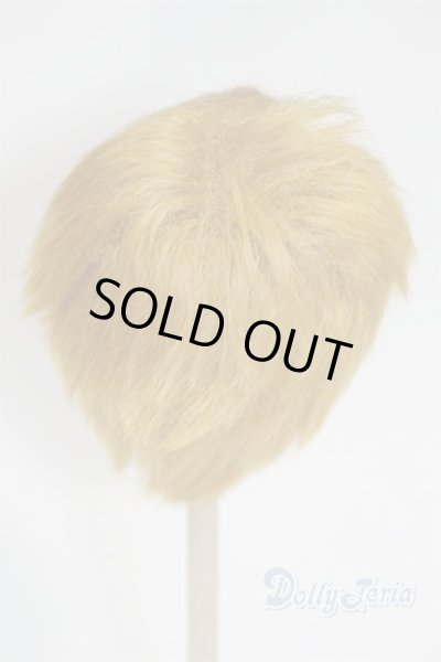 画像2: 8-9inch/ウィッグ/インチ　BJD　MJD　ドール用 A-26-02-11-099-NY-ZA (2)