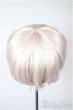 画像2: 8-9inch/ウィッグ/インチ　BJD　MJD　ドール用 A-26-01-28-319-WT-ZA (2)