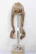 画像1: 8-9inch/ウィッグ　FANTASICWORLD様製 A-26-02-11-247-NY-ZA (1)
