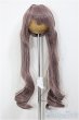 画像1: 8-9inch/ウィッグ　FANTASICWORLD様製 A-26-02-11-246-NY-ZA (1)