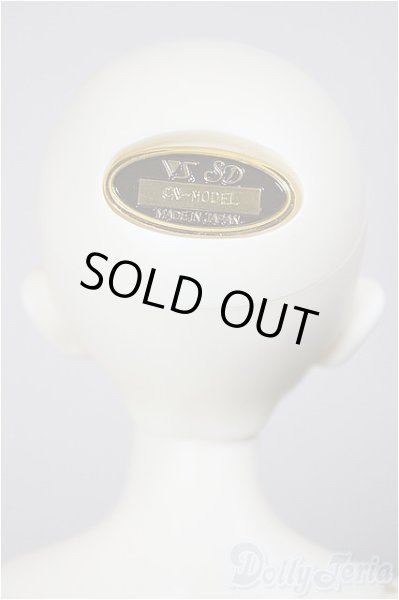 画像4: SDMGIRL/F-45　コーディネートモデル A-26-02-11-203-NY-ZA (4)