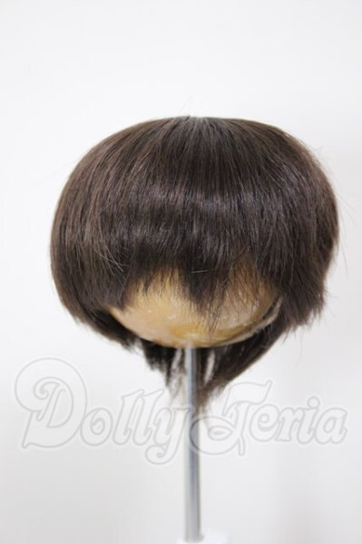 画像1: 7-8inch/ウィッグ A-26-02-18-286-NY-ZA (1)