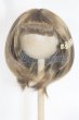 画像1: 8inch/ウィッグ/インチ　BJD　MJD　ドール用 A-26-03-04-070-NY-ZA (1)