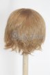 画像2: 6-7inch/ウィッグ/インチ　BJD　MJD　ドール用 A-26-03-04-063-NY-ZA (2)