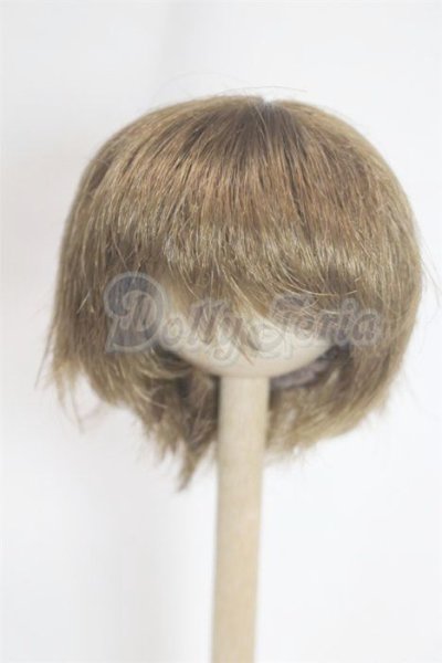 画像1: 6-7inch/ウィッグ/インチ　BJD　MJD　ドール用 A-26-03-04-062-NY-ZA (1)