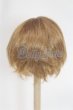 画像2: 6-7inch/ウィッグ/インチ　BJD　MJD　ドール用 A-26-03-04-067-NY-ZA (2)