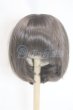 画像1: 9-10inch/ウィッグ/インチ　BJD　MJD　ドール用 A-26-03-04-068-NY-ZA (1)
