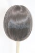 画像2: 9-10inch/ウィッグ/インチ　BJD　MJD　ドール用 A-26-03-04-068-NY-ZA (2)