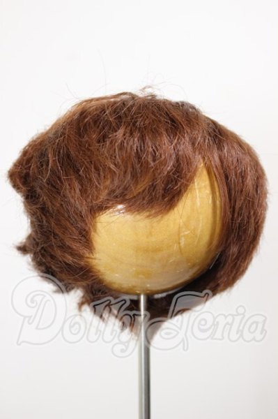 画像1: 9-10inch/ウィッグ A-26-02-25-225-NY-ZA (1)