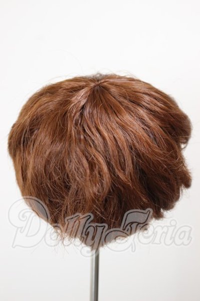 画像2: 9-10inch/ウィッグ A-26-02-25-225-NY-ZA (2)