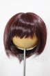 画像1: 9inch/ウィッグ(Mint Star様製) A-26-02-25-221-NY-ZA (1)