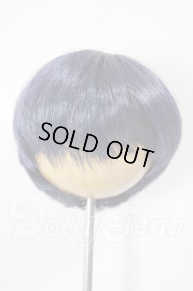 画像1: 7-8inch/ウィッグ A-26-02-25-291-NY-ZA (1)