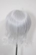 画像2: 7-8inch/ウィッグ A-26-02-25-287-NY-ZA (2)