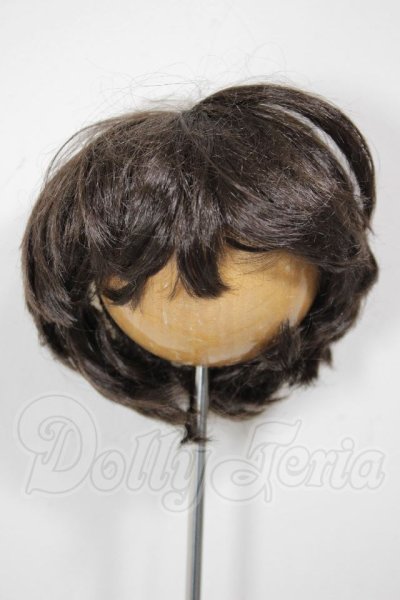 画像1: 9-10inch/ウィッグ A-26-04-22-273-NY-ZA (1)