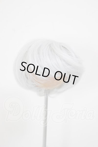 画像1: 6-7inch/ウィッグ A-26-03-04-259-WT-ZA (1)