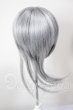 画像2: 8inch/ウィッグ A-26-03-11-278-NY-ZA (2)