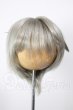 画像1: 8-9inch/ウィッグ A-26-03-11-280-NY-ZA (1)