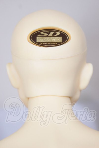 画像5: ＳＤ17ＢＯＹ/坂本龍馬 A-26-03-11-101-TN-ZA (5)