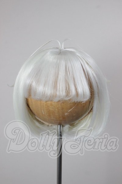 画像1: 8.5-9inch/ウィッグ A-26-03-18-140-TN-ZA (1)