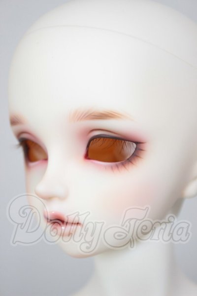 画像3: SD13GIRL/フルチョイス：F-73 A-26-03-11-201-NY-ZA (3)