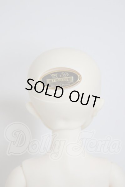 画像4: SDM/コーディネートモデル：F54 A-26-03-11-301-NY-ZA (4)