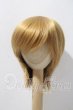 画像1: 7-8inch/ウィッグ U-26-03-11-027-NY-ZU (1)