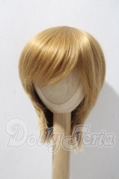 画像1: 7-8inch/ウィッグ U-26-03-11-027-NY-ZU (1)