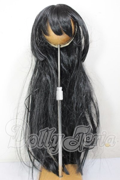 画像1: 8-9inch/ウィッグ A-26-03-25-313-WT-ZA (1)