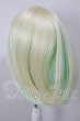 画像2: 8-9inch/ウィッグ A-26-03-25-315-WT-ZA (2)