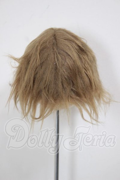 画像2: 7-8inch/ウィッグ A-26-04-01-206-NY-ZA (2)