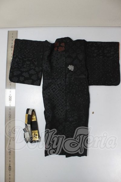 画像2: SDM/OF:着物 A-26-04-15-163-NY-ZA (2)