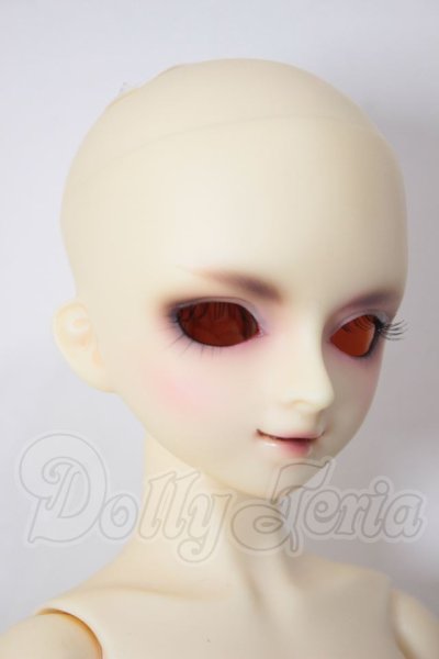 画像3: SDM男の子/F-24　フルチョイス A-26-04-01-315-NY-ZA (3)