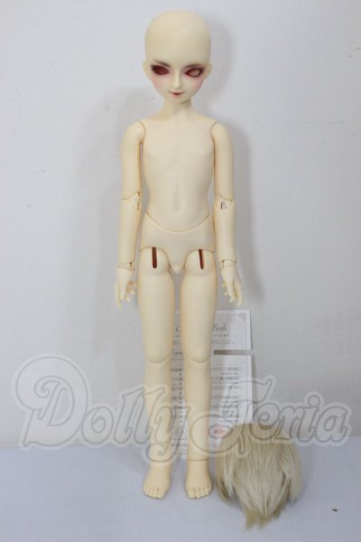 画像5: SDM男の子/F-24　フルチョイス A-26-04-01-315-NY-ZA (5)