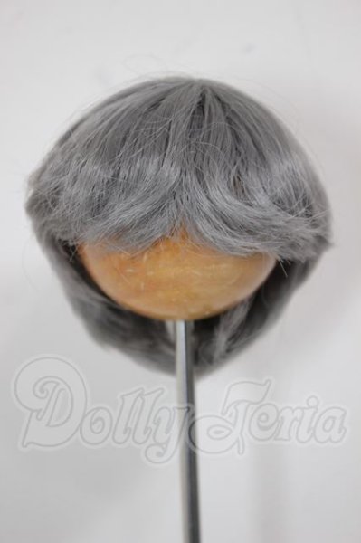 画像1: 6-7inch/ウィッグ A-26-04-08-171-WT-ZA (1)