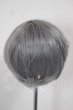 画像2: 6-7inch/ウィッグ A-26-04-08-171-WT-ZA (2)