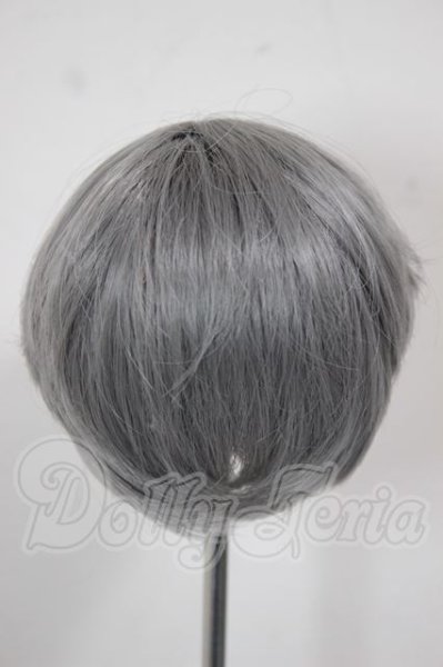 画像2: 6-7inch/ウィッグ A-26-04-08-171-WT-ZA (2)