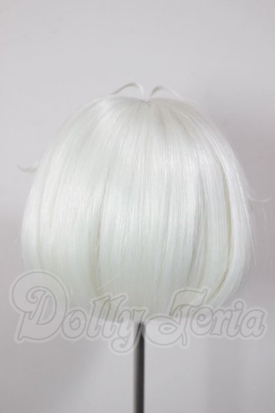 画像2: 8.5-9inch/ウィッグ A-26-04-15-280-NY-ZA (2)