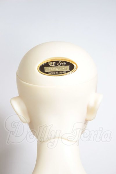 画像5: SD17BOY/ウィリアムズ　Commodore Ver.2 A-26-04-15-251-NY-ZA (5)