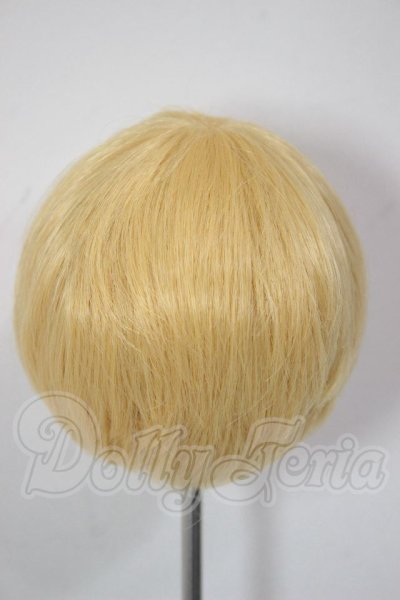 画像2: 8-9inch/ウィッグ A-26-04-22-230-NY-ZA (2)