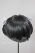 画像2: 8-9inch/ウィッグ A-26-04-22-161-NY-ZA (2)