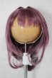 画像1: 8-9inch/ウィッグ A-26-04-22-201-NY-ZA (1)