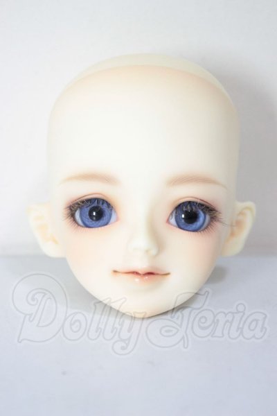 画像1: 京天使/白鳥 A-26-04-22-297-NY-ZA (1)