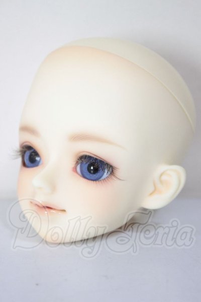 画像2: 京天使/白鳥 A-26-04-22-297-NY-ZA (2)