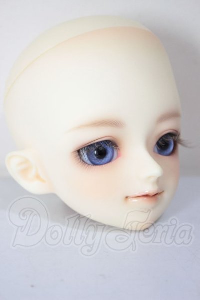 画像3: 京天使/白鳥 A-26-04-22-297-NY-ZA (3)