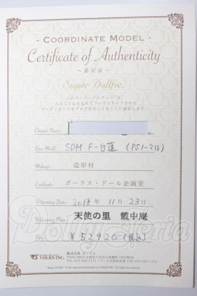 画像8: SDM女の子/コーディネートモデル白蓮 A-26-04-22-322-NY-ZA (8)