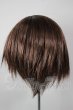 画像2: 9inch/ウィッグ A-26-04-22-366-NY-ZA (2)