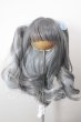 画像1: 9inch/ウィッグ DOLLCE A-26-05-12-335-NY-ZA (1)