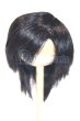 画像1: 8-9inch/ウィッグ/インチ　BJD　MJD　ドール用 A-26-05-12-023-NY-ZA (1)